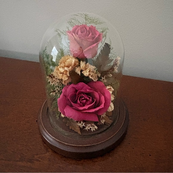 Natural Expressions Other - Vintage Natural Expressions Freeze Dried Preserved Roses Glass Dome & Wood Base